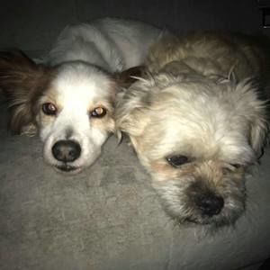 Meet your Posher, Candace